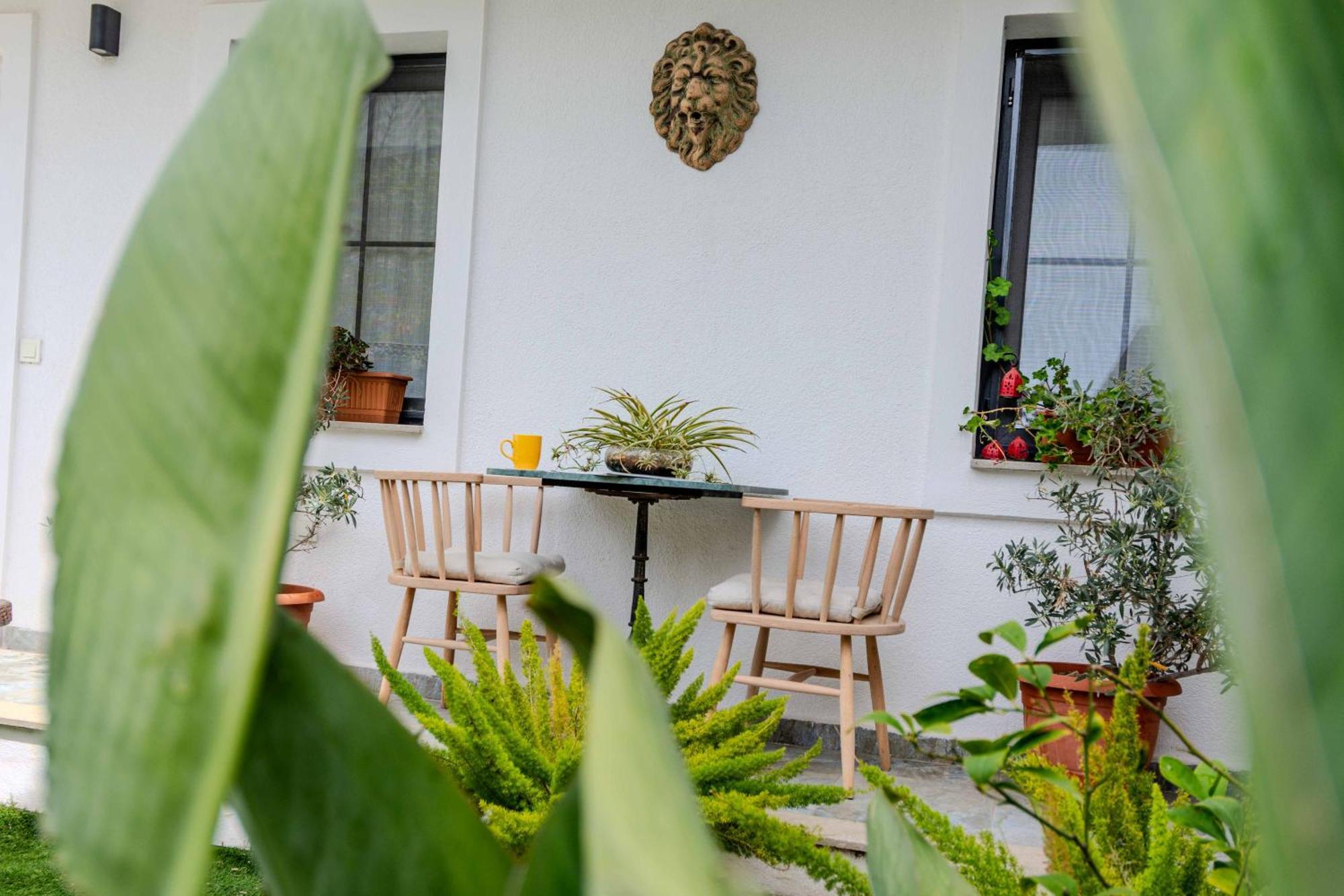 Bed and Breakfast Arden'S House Bodrum Esterno foto